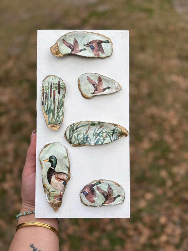 Mallard Marsh Oyster Shell Display